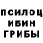 Псилоцибиновые грибы Cubensis Muz Relax