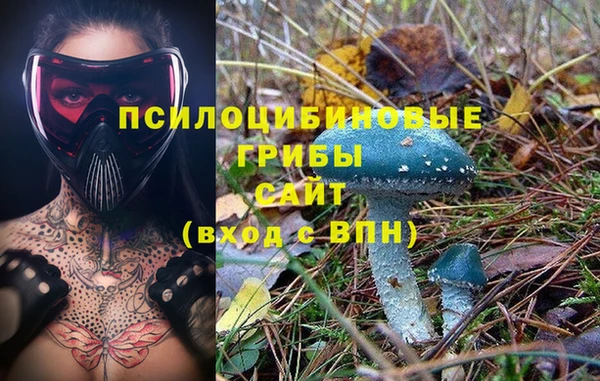 индика Бугульма