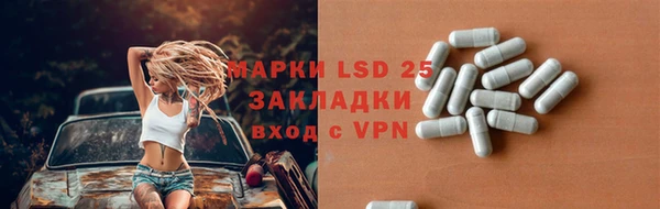 индика Бугульма