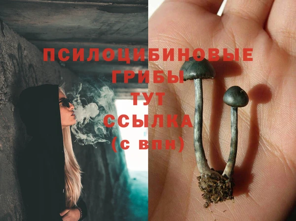 индика Бугульма