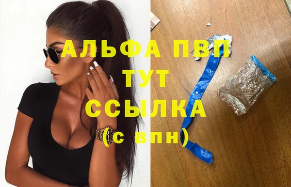 индика Бугульма