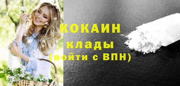 кокс Бородино