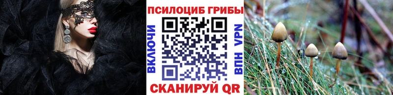 Псилоцибиновые грибы прущие грибы  Семёнов 